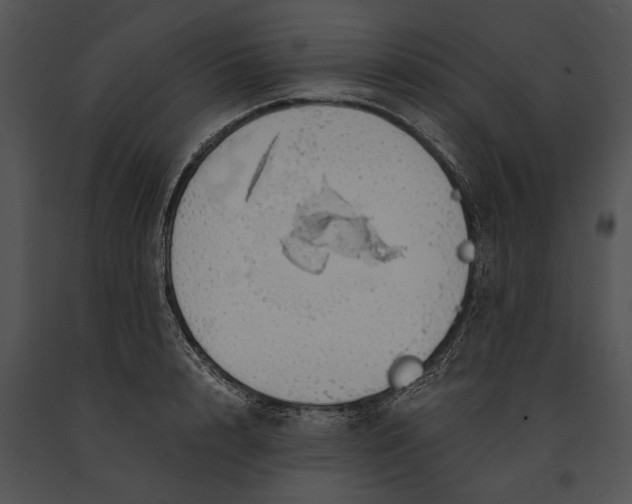 X0000091180848200708301215