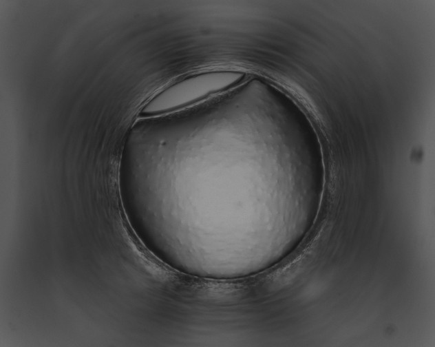 X0000091180849200708301215