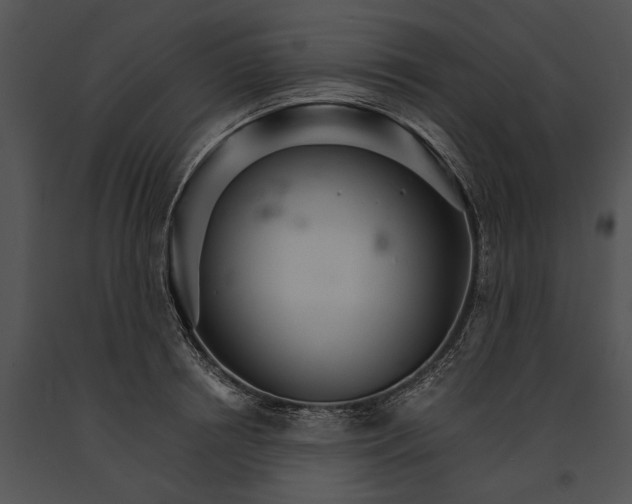 X0000091180850200708301215