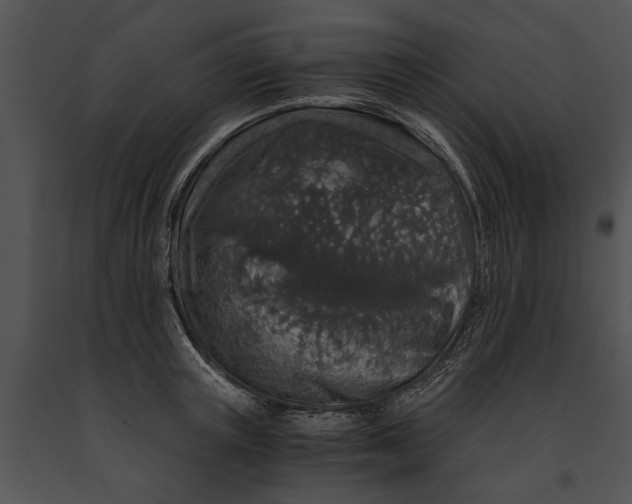 X0000091180851200708301215