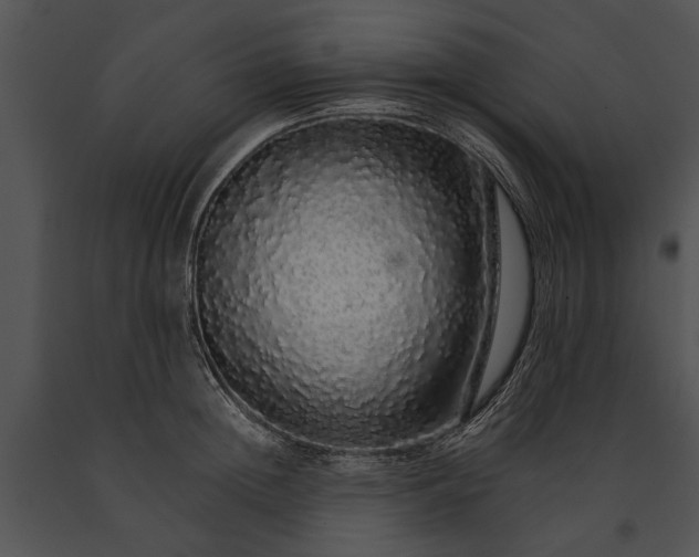 X0000091180852200708301215