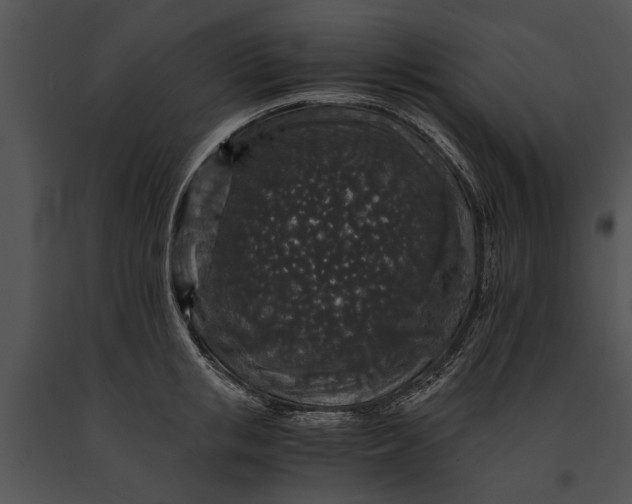 X0000091180853200708301215