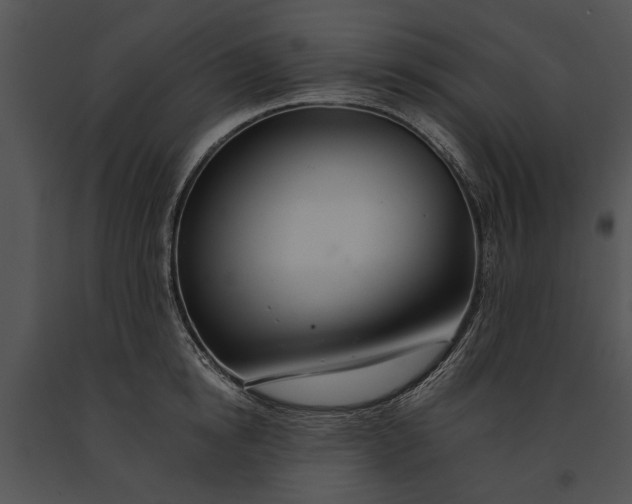 X0000091180854200708301215