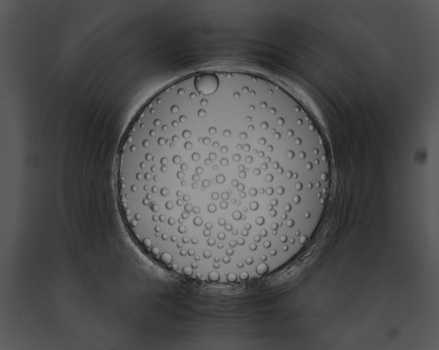 X0000091180855200708301215