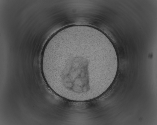 X0000091180856200708301215