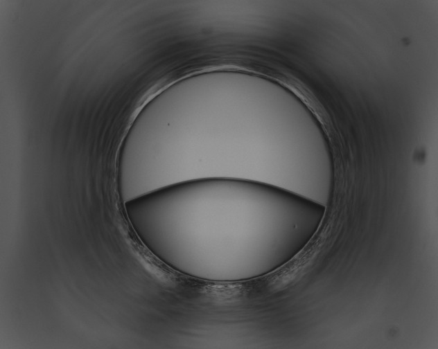 X0000091180858200708301215