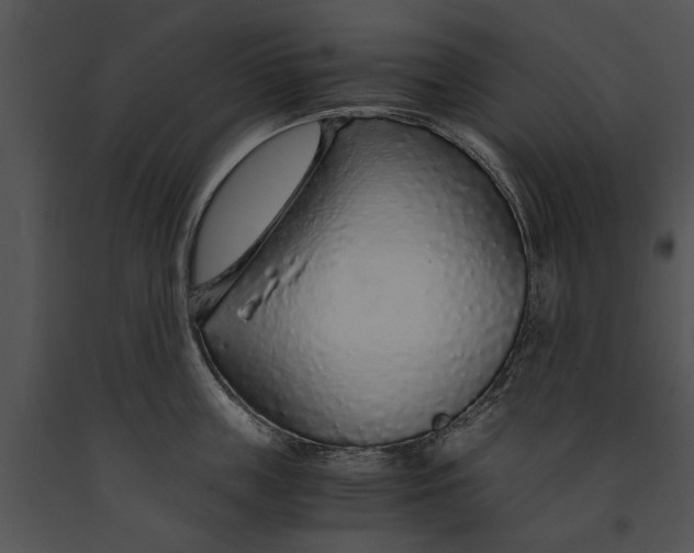 X0000091180859200708301215