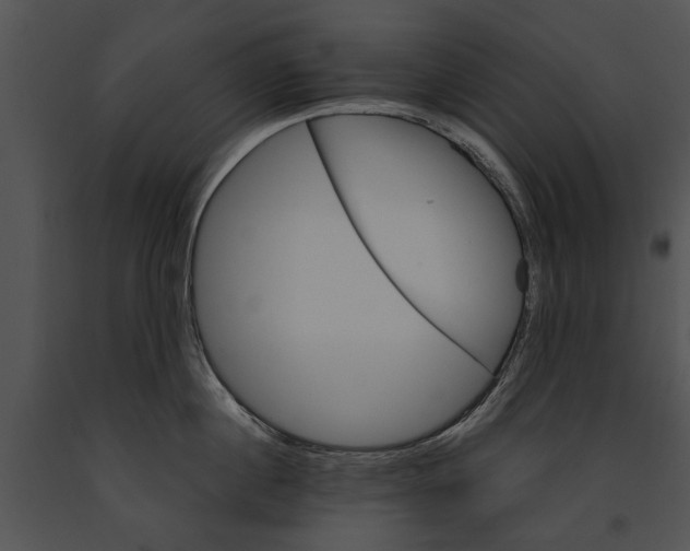 X0000091180860200708301215