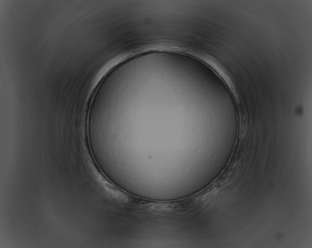 X0000091180861200708301215