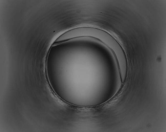 X0000091180862200708301215