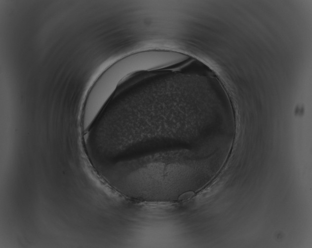 X0000091180864200708301215