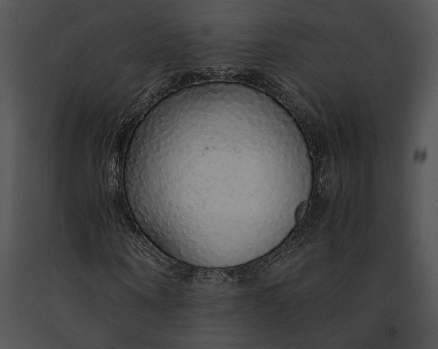 X0000091180866200708301214