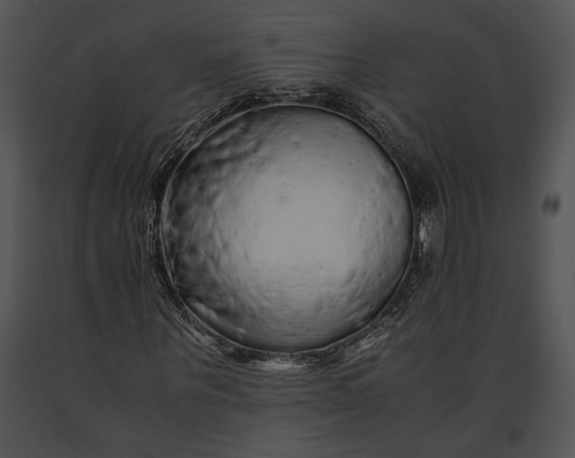 X0000091180867200708301214