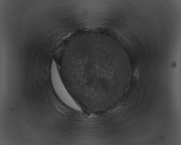 X0000091180868200708301214