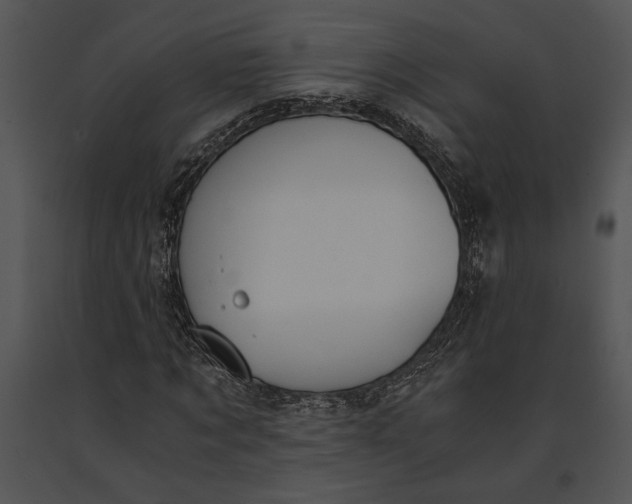 X0000091180869200708301214