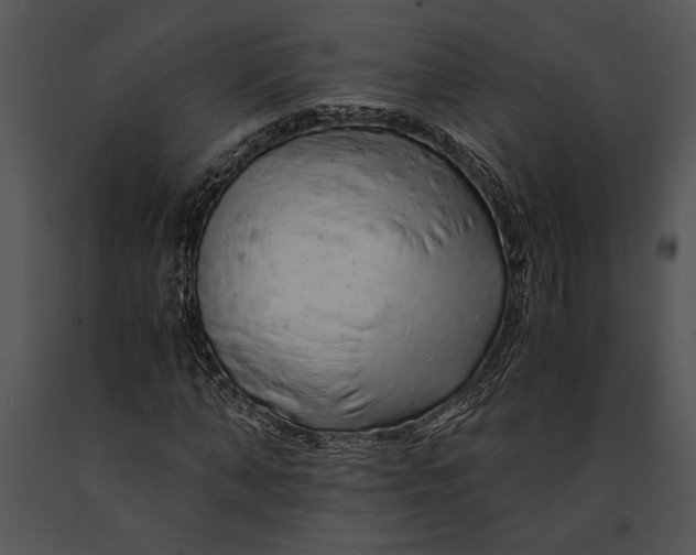 X0000091180870200708301214