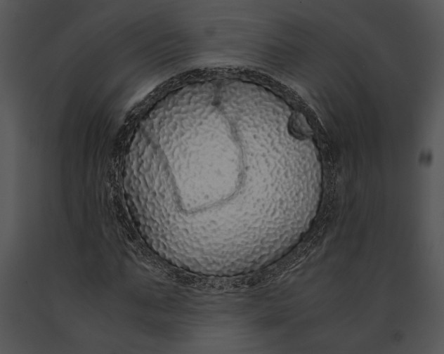 X0000091180871200708301214