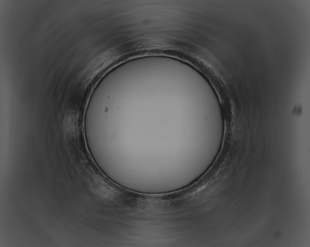 X0000091180873200708301214