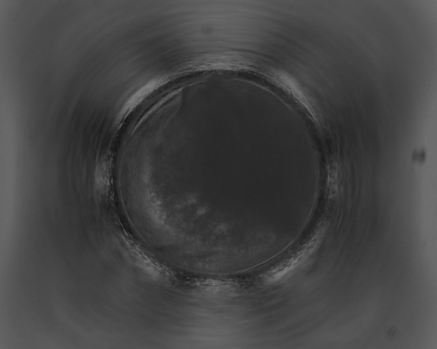 X0000091180874200708301214