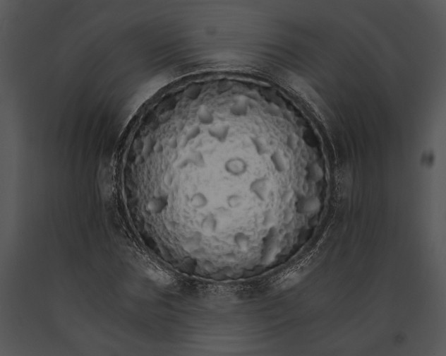 X0000091180875200708301214