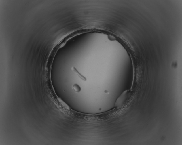 X0000091180876200708301214