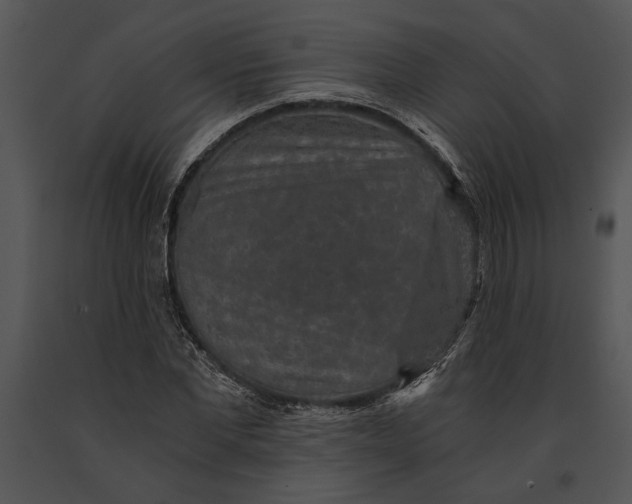 X0000091180877200708301214