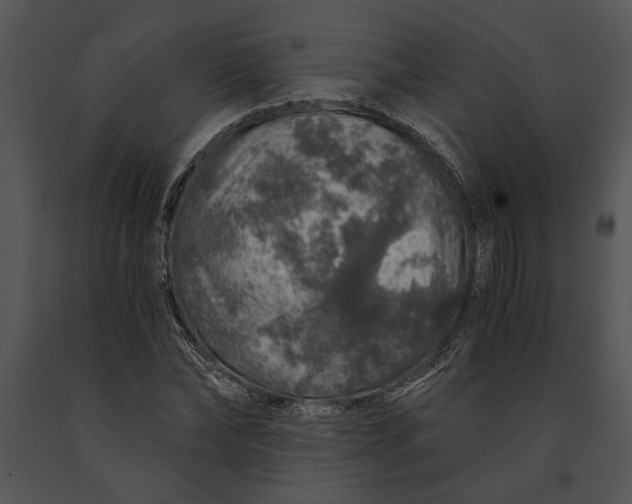 X0000091180878200708301214