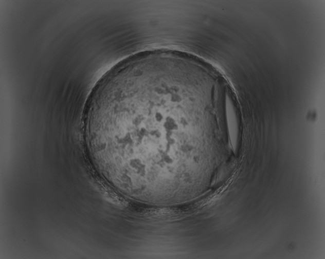 X0000091180879200708301214