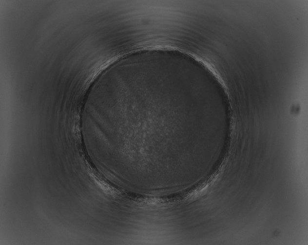 X0000091180881200708301214