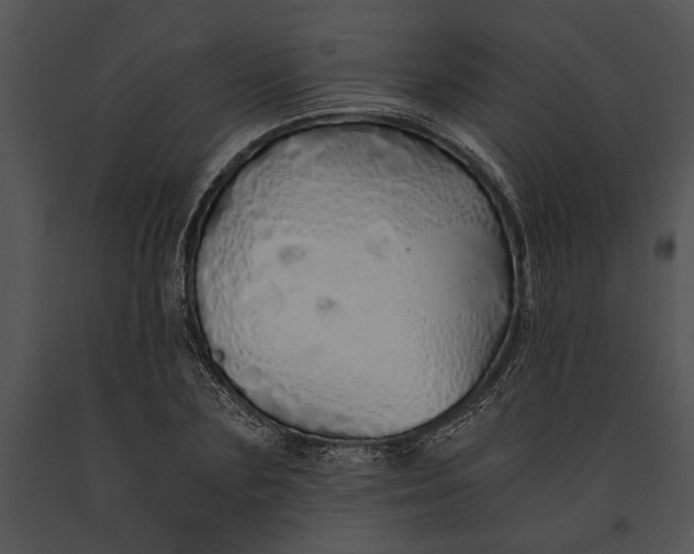 X0000091180883200708301214