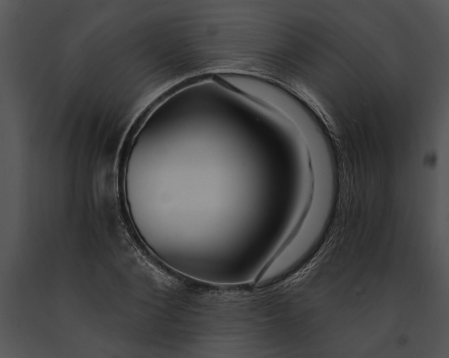 X0000091180884200708301214