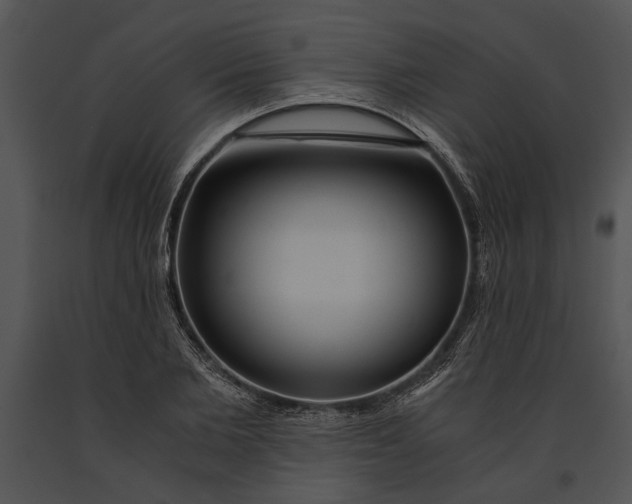 X0000091180885200708301214