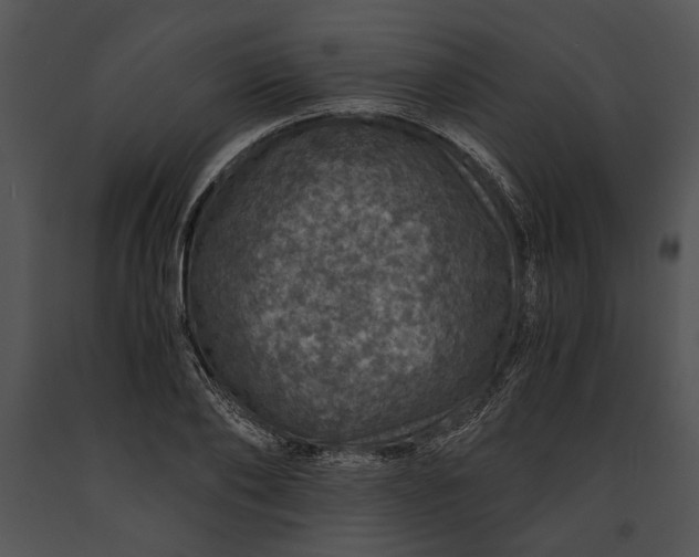 X0000091180886200708301214