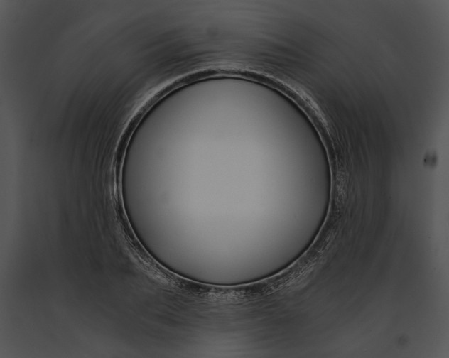 X0000091180887200708301214