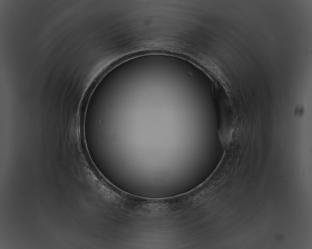 X0000091180888200708301214