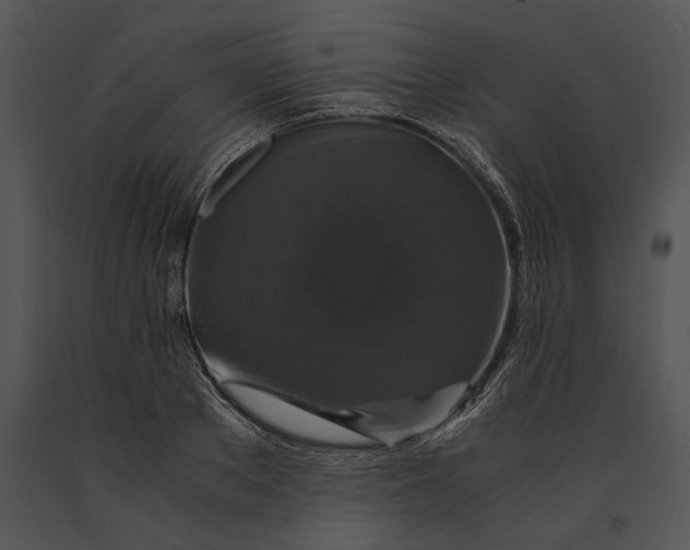 X0000091180889200708301214