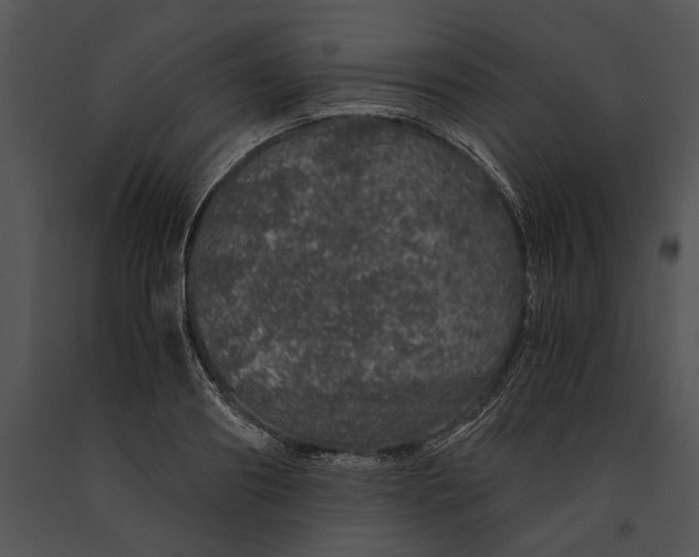 X0000091180890200708301214