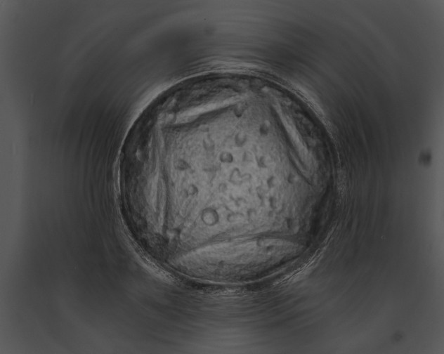 X0000091180891200708301214