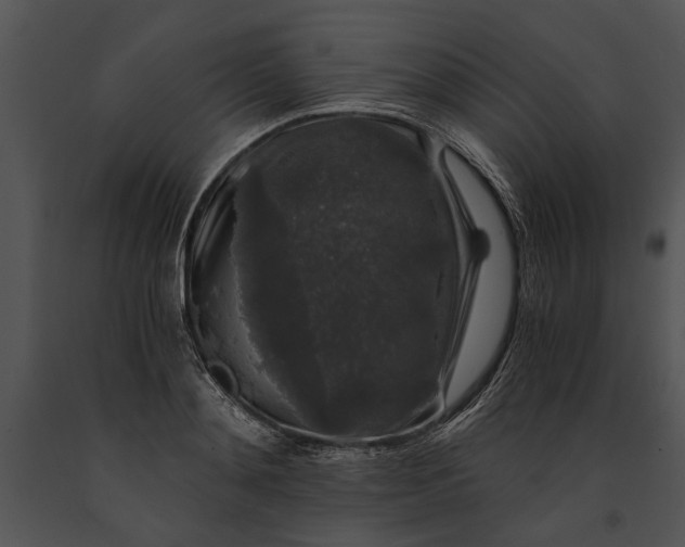 X0000091180892200708301214