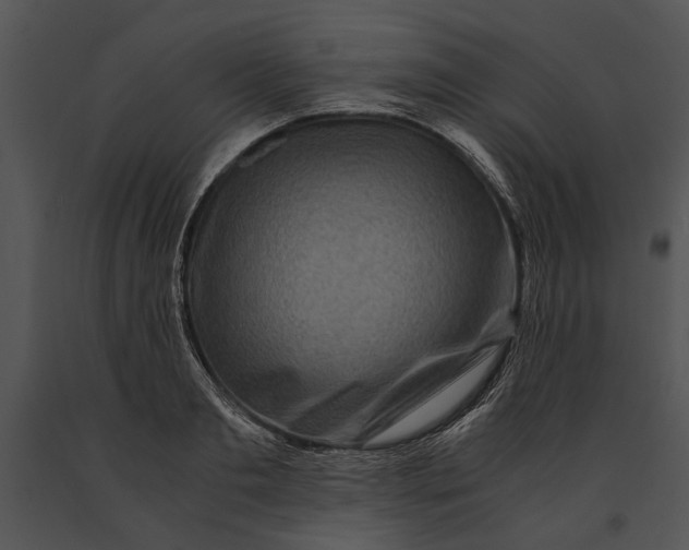 X0000091180893200708301214