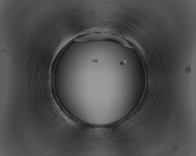 X0000091180894200708301214