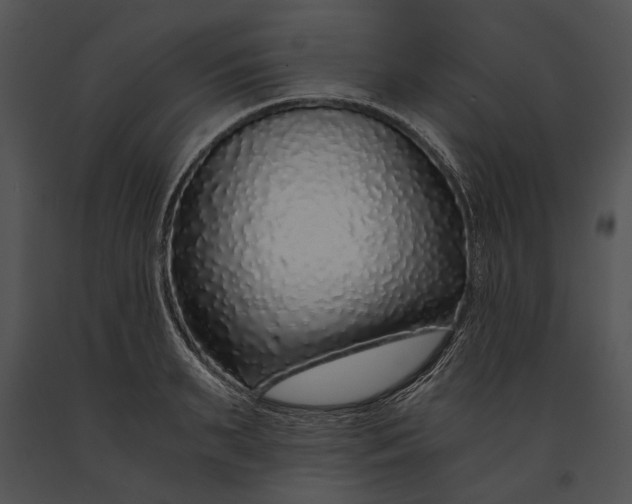 X0000091180895200708301214