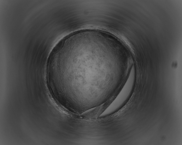 X0000091180896200708301214