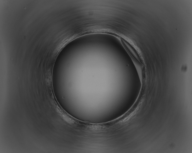 X0000091180897200708301214