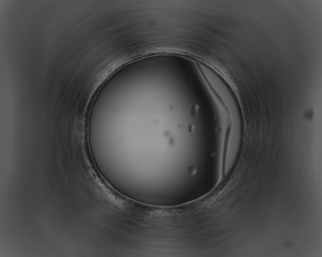 X0000091180898200708301214