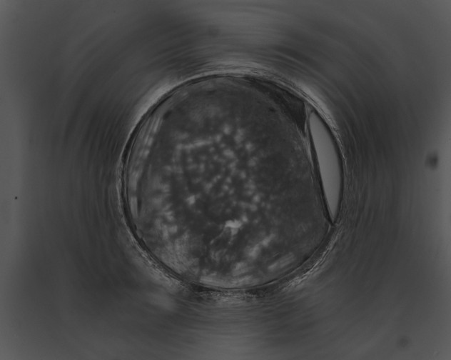 X0000091180899200708301214