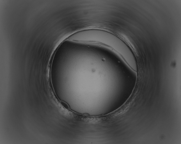 X0000091180900200708301214