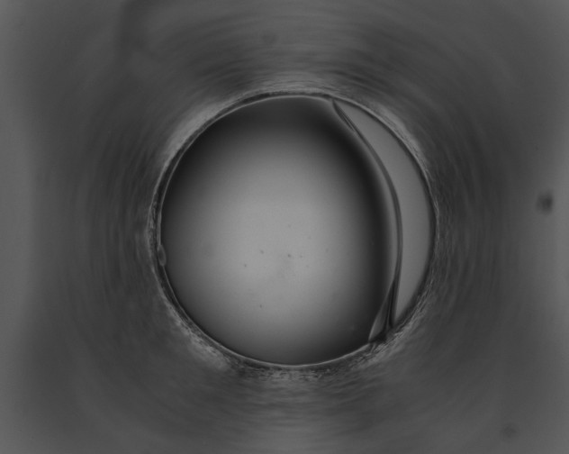 X0000091180901200708301214