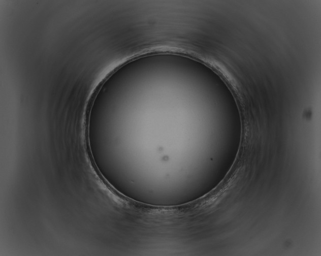 X0000091180902200708301214