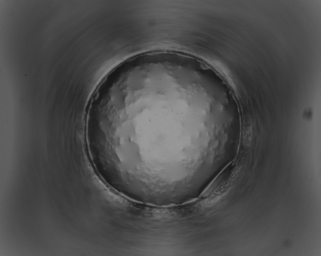 X0000091180903200708301214